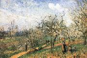 Pang map of apple Schwarz Camille Pissarro